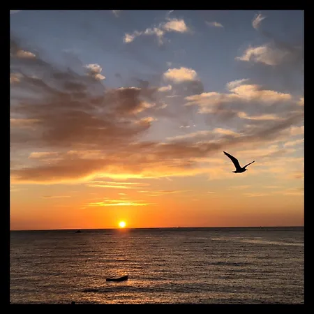 Avec Vue Sur Le Port Et Falaises *