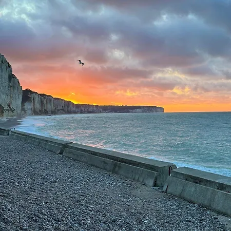 Avec Vue Sur Le Port Et Falaises * Fécamp